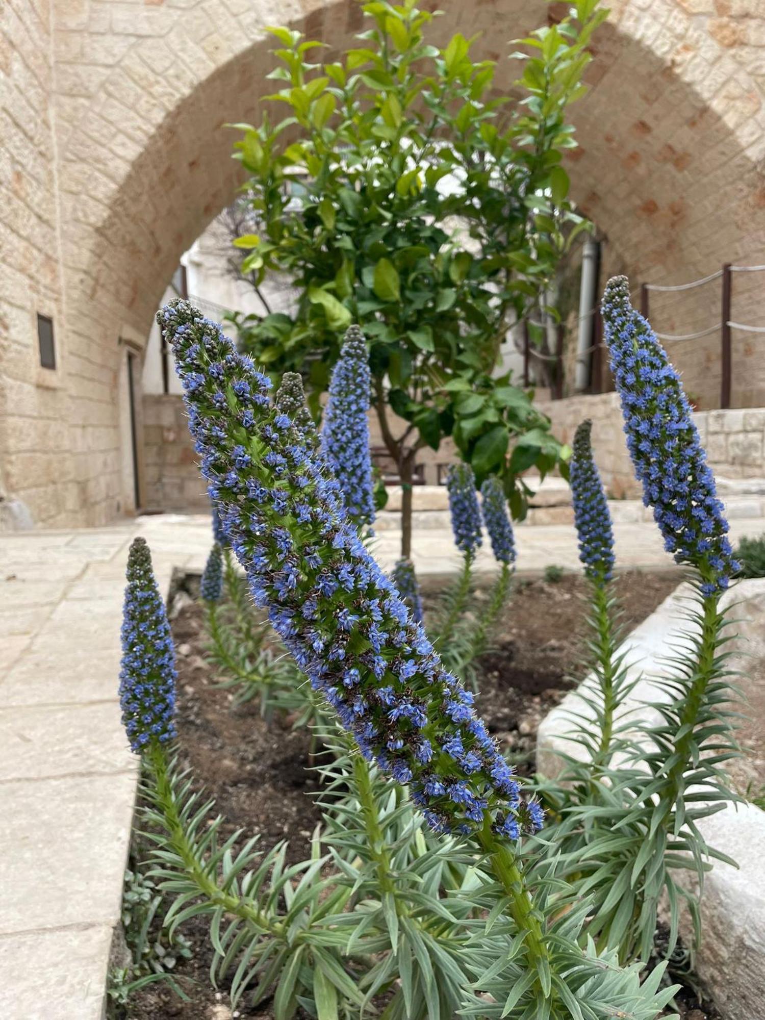 Lamanna House Polignano a Mare Exteriér fotografie